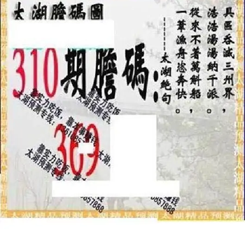 25310期: 太湖图福彩3D精品预测