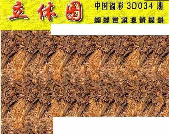 25034期: 3D蝴蝶世家蝴蝶彩图