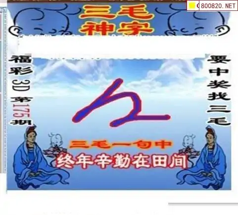 25175期: 三毛3D精品图谜