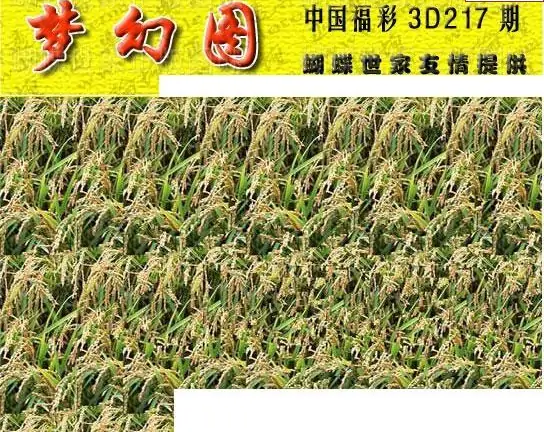 25217期: 3D蝴蝶世家蝴蝶彩图