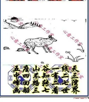 25313期: 三毛3D精品图谜