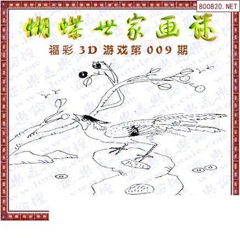 26009期: 3D蝴蝶世家蝴蝶彩图