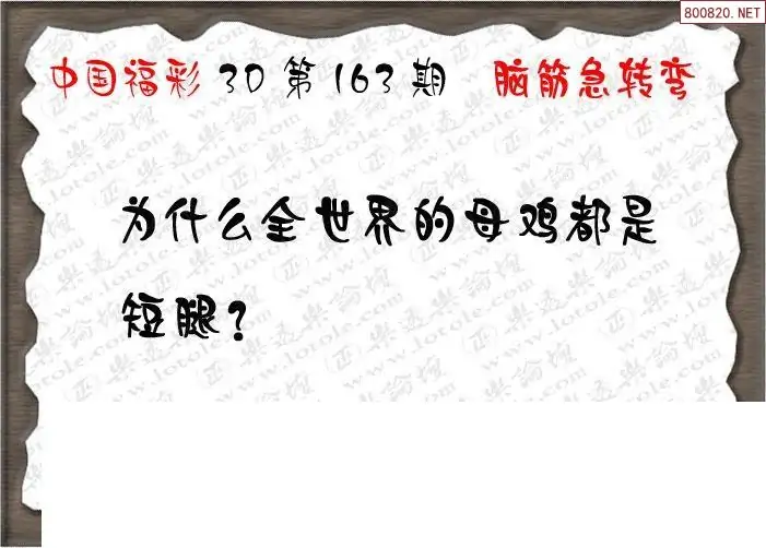 25163期: 3D蝴蝶世家蝴蝶彩图