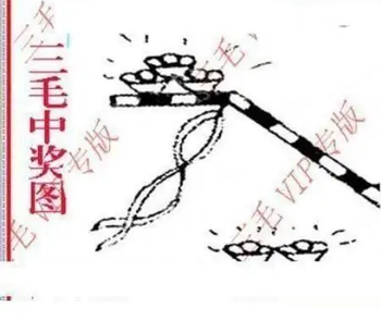 25343期: 三毛3D精品图谜