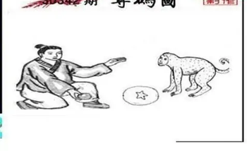 25342期: 三毛3D精品图谜