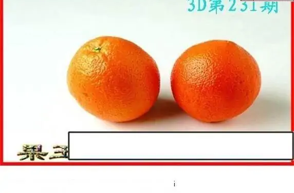 25231期: 白老3D杀码图版