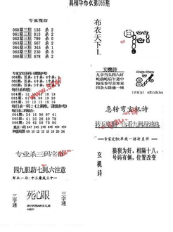26066期: 福彩3D全套图版参考