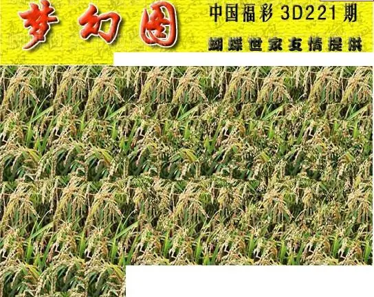 25221期: 3D蝴蝶世家蝴蝶彩图