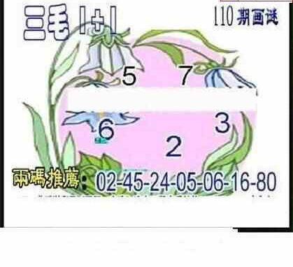 24110期: 三毛3D精品图谜