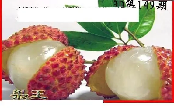 25149期: 白老3D杀码图版