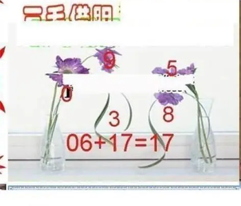 26091期: 三毛3D精品图谜