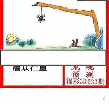 24233期: 白老3D杀码图版