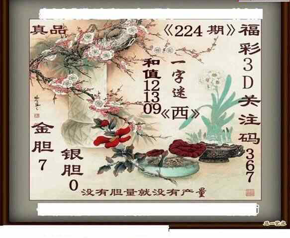 24224期: 白老3D杀码图版