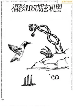 福彩3D26067期天中全套预测分析图