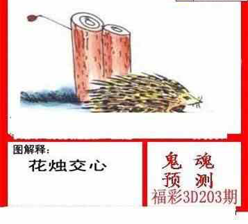 24203��: ����3Dɱ��ͼ��