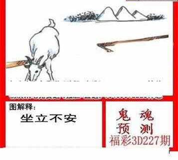 24227期: 白老3D杀码图版