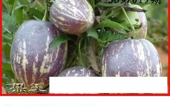 26019期: 白老3D杀码图版