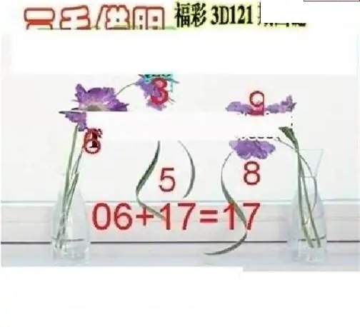 25121期: 三毛3D精品图谜