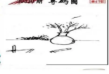 25330期: 三毛3D精品图谜
