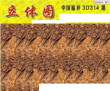 25314期: 3D蝴蝶世家蝴蝶彩图