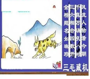 25342期: 三毛3D精品图谜
