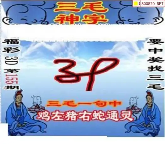 25155期: 三毛3D精品图谜
