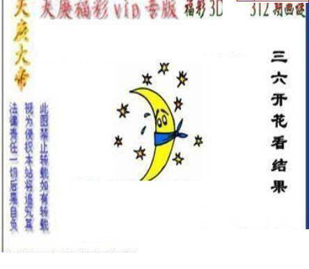 24312期: 三毛3D精品图谜