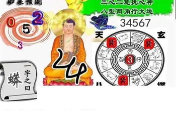 25344期: 白老3D杀码图版