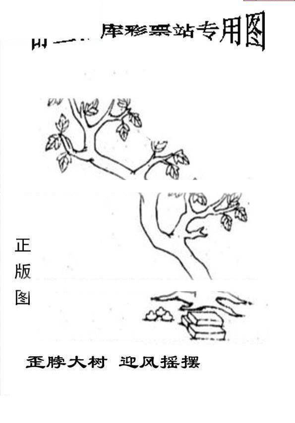 25013期: 老村长福彩3D天天图谜