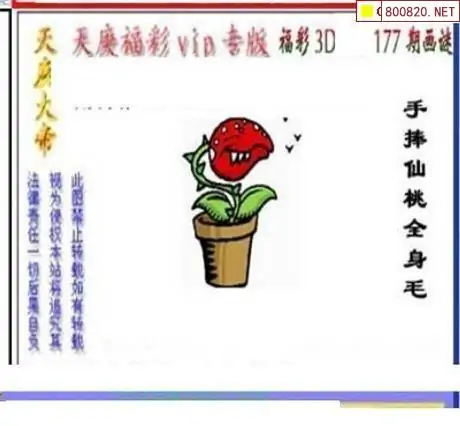 25177期: 三毛3D精品图谜