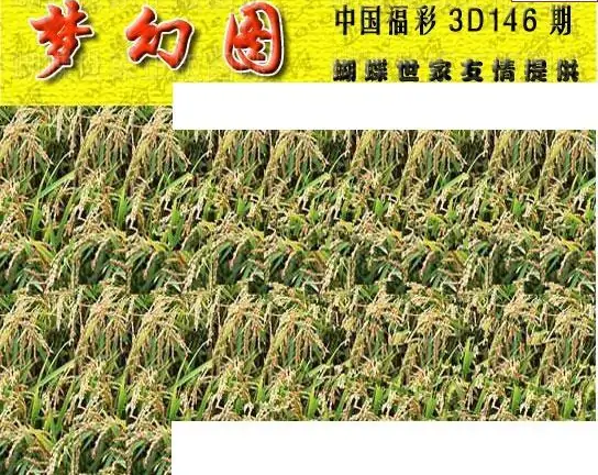 25146期: 3D蝴蝶世家蝴蝶彩图