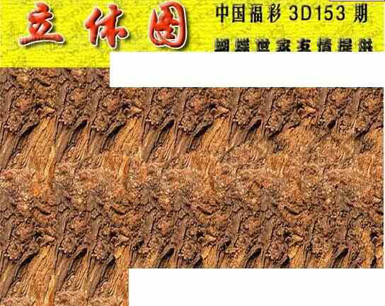 24153期: 3D蝴蝶世家蝴蝶彩图