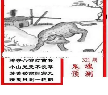 25321期: 三毛3D精品图谜