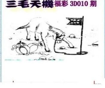 26010期: 三毛3D精品图谜