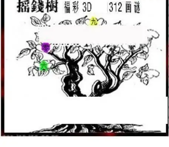 25312期: 三毛3D精品图谜