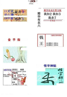 26002期: 福彩3D全套图版参考