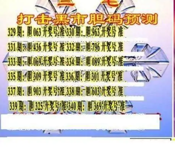 25340期: 三毛3D精品图谜