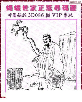 26086期: 3D蝴蝶世家蝴蝶彩图