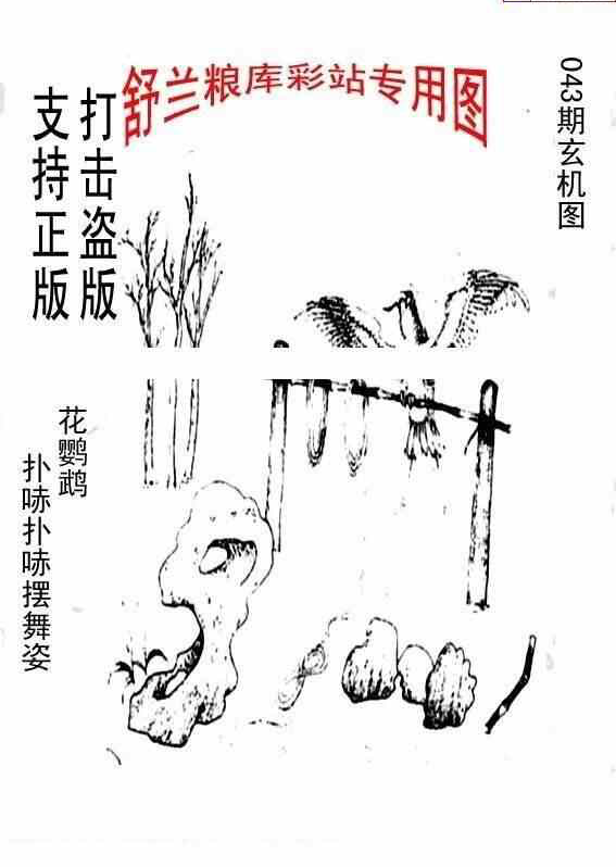 25043期: 老村长福彩3D天天图谜