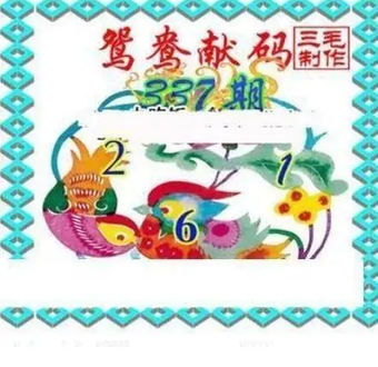 25337期: 三毛3D精品图谜