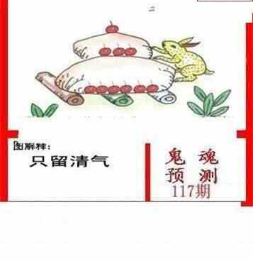 24117期: 白老3D杀码图版