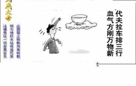 24135期: 白老3D杀码图版