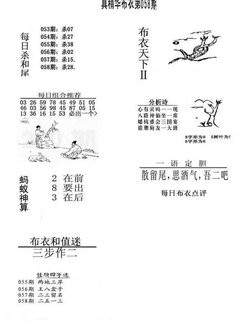 26058期: 福彩3D全套图版参考