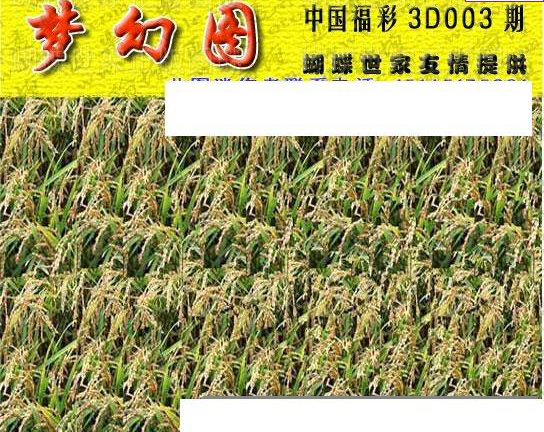 25003期: 3D蝴蝶世家蝴蝶彩图