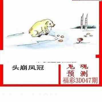 25047期: 白老3D杀码图版