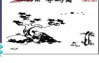 26095期: 三毛3D精品图谜