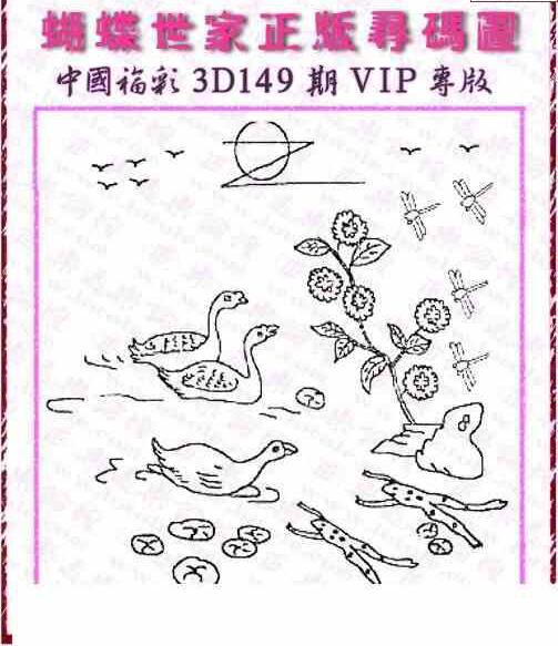24149期: 3D蝴蝶世家蝴蝶彩图