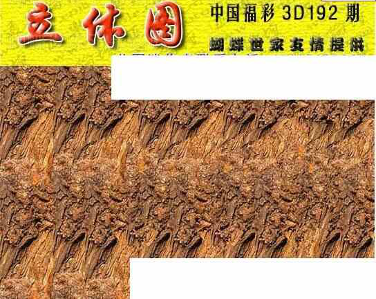 24192期: 3D蝴蝶世家蝴蝶彩图