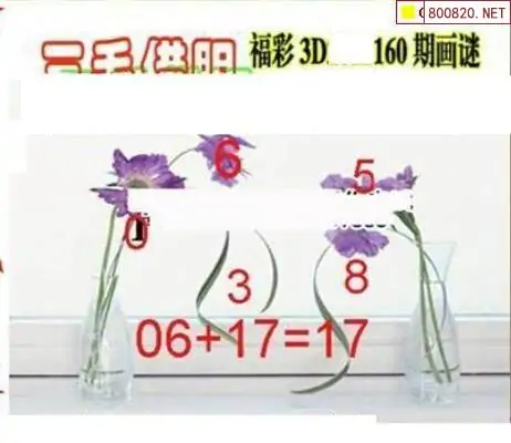 25160期: 三毛3D精品图谜