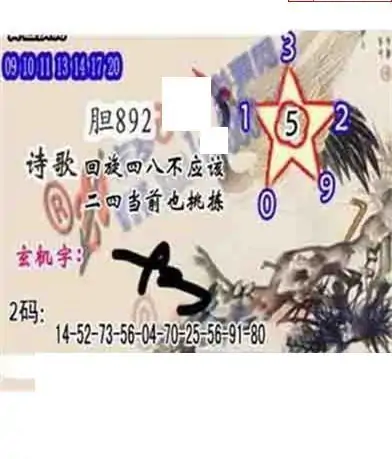 25098期: 白老3D杀码图版